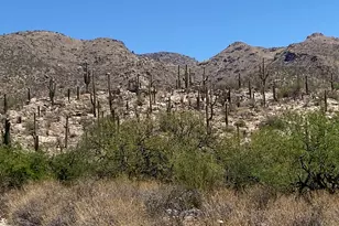 5236 Mesquite Canyon Pl, Tucson, AZ 85749 - Photo 4