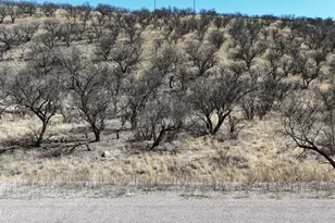 567 Mulberry Ct, Rio Rico, AZ 85648 - Photo 1