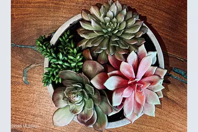 371 W Sacaton Canyon Drive, Oro Valley, AZ 85755 - Photo 6