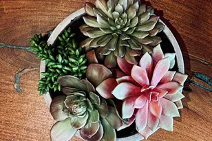 371 W Sacaton Canyon Dr, Oro Valley, AZ 85755 - Photo 6