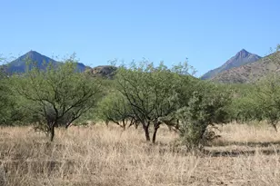 000 Bond Canyon Rd, Tubac, AZ 85646 - Photo 1