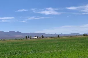 3515 W Gleeson Rd, Elfrida, AZ 85610 - Photo 6