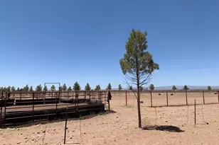 3515 W Gleeson Rd, Elfrida, AZ 85610 - Photo 48