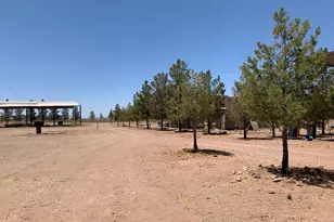 3515 W Gleeson Rd, Elfrida, AZ 85610 - Photo 46