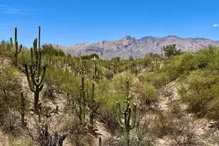 1979 E Campbell Terrace, Tucson, AZ 85718 - Photo 38