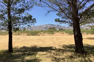 311 W Kaibab Way, Cochise, AZ 85606 - Photo 40