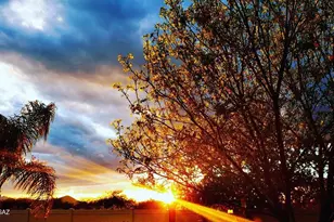 33822 S Miner Rd, Red Rock, AZ 85145 - Photo 48