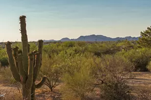 9745 N Calle Loma Linda, Oro Valley, AZ 85737 - Photo 34