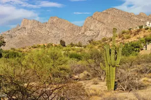 9745 N Calle Loma Linda, Oro Valley, AZ 85737 - Photo 38