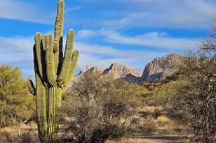 9745 N Calle Loma Linda, Oro Valley, AZ 85737 - Photo 2