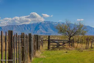 31618 S Tamarisk Pl, Oracle, AZ 85623 - Photo 50