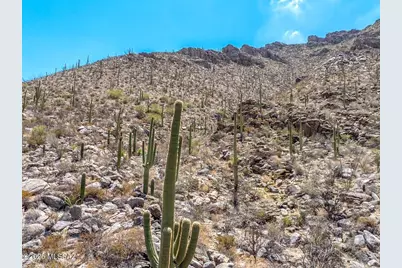 14750 Silent Spring Place #105, Marana, AZ 85658 - Photo 16