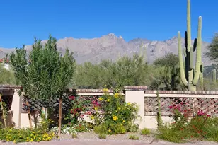 6060 N Piedra Seca, Tucson, AZ 85718 - Photo 2