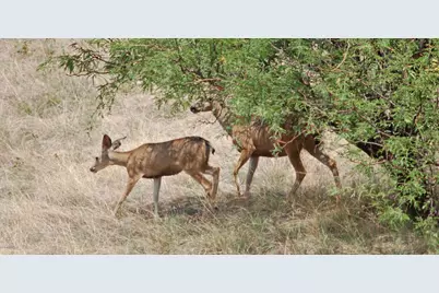 880 Side Oats Lane #190, Patagonia, AZ 85624 - Photo 26