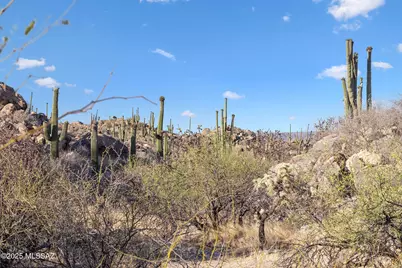 1429 Tortolita Mountain Ci Circle #469, Tucson, AZ 85755 - Photo 12