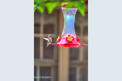 44 E Ramsey Canyon Road, Hereford, AZ 85615 - Photo 32