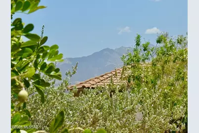 2048 W Cactus Run Drive, Green Valley, AZ 85622 - Photo 44