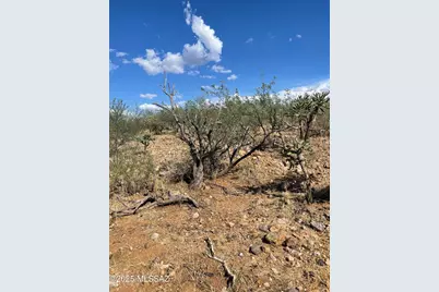 50 Calle Dinamarca #20, Rio Rico, AZ 85648 - Photo 8