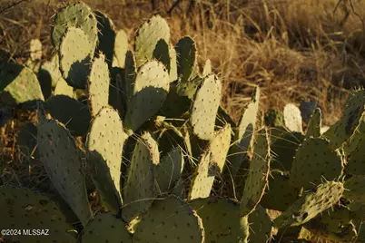 3.3 Ac Linda Vista Road #1-3, Oracle, AZ 85623 - Photo 24