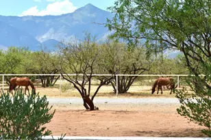 7117 S Oleander Ln, Hereford, AZ 85615 - Photo 10
