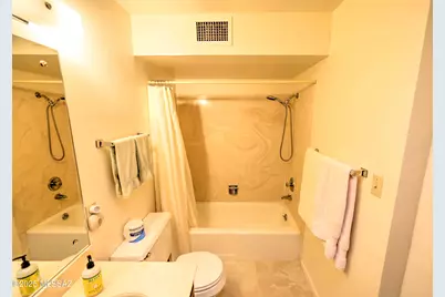 8620 N Pomona Avenue, Tucson, AZ 85704 - Photo 34