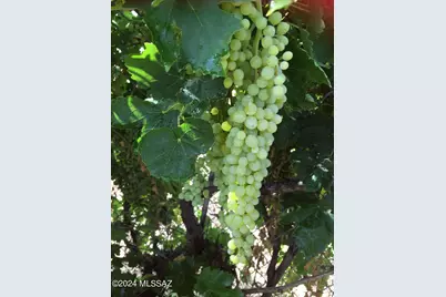 6040 11050 N Fort Grant Road, Willcox, AZ 85643 - Photo 6