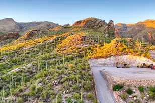 6940 N Flying Vw Pl, Tucson, AZ 85750 - Photo 8
