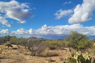 16252 Pyle Rd, Tucson, AZ 85736 - Photo 4