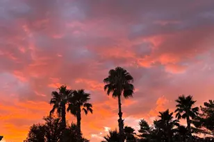 37547 S Canyon Side Dr, Saddlebrooke, AZ 85739 - Photo 50