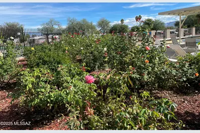 240 W Cumaro Drive, Green Valley, AZ 85614 - Photo 50