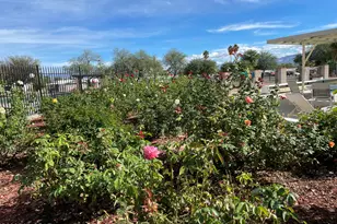 240 W Cumaro Dr, Green Valley, AZ 85614 - Photo 50