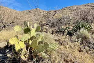 19675 S Sonoita Hwy, Vail, AZ 85641 - Photo 8