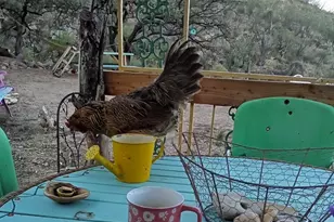 19675 S Sonoita Hwy, Vail, AZ 85641 - Photo 50