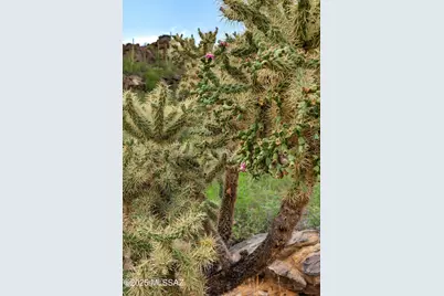 14421 Phinny Rock Place #48, Marana, AZ 85658 - Photo 16