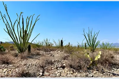 5593 Park Ridge Place, Tucson, AZ 85743 - Photo 8