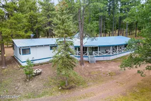 52 County Rd 2271, Alpine, AZ 85920 - Photo 38