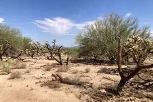 15340 Many Horses Rd, Tucson, AZ 85736 - Photo 1