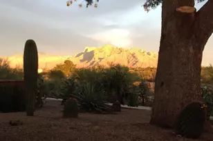 8740 N Johnny Miller Dr, Tucson, AZ 85742 - Photo 8