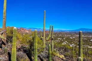 Tbd Villa Sueno Lejos 10 Acres, Tucson, AZ 85746 - Photo 1