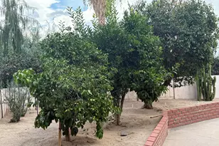 7921 N Casas Carmen, Tucson, AZ 85742 - Photo 44