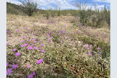30 Camino Los Vientos #6, Patagonia, AZ 85624 - Photo 10