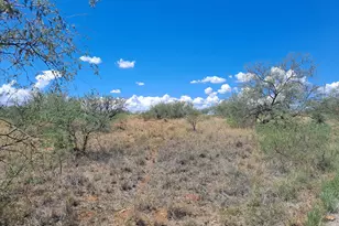 25240 Patayan Trail, Benson, AZ 85602 - Photo 1