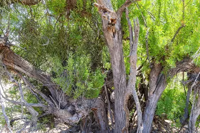 4655 Camino De Manana #H, Tucson, AZ 85742 - Photo 18