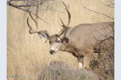 5782 E De Vaca Circle #18, Saint David, AZ 85630 - Photo 10