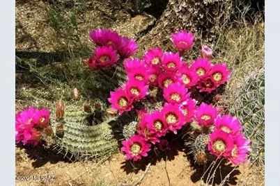 5782 E De Vaca Circle #18, Saint David, AZ 85630 - Photo 22