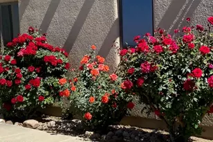 1426 S Foudy Rd, Bisbee, AZ 85603 - Photo 36