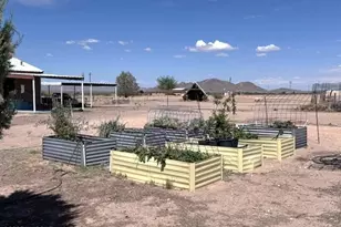 3865 W Dearing Rd, Willcox, AZ 85643 - Photo 36