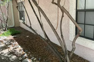 6435 N Tierra De Las Catalinas, Tucson, AZ 85718 - Photo 1