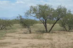 435 W Papago Way, Cochise, AZ 85606 - Photo 14