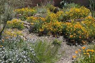 2725 E Glenn St, Tucson, AZ 85716 - Photo 18